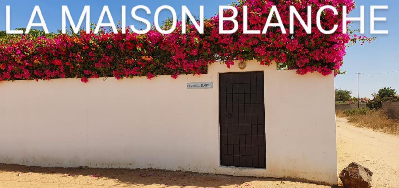La Maison Blanche à Ngaparou, splendide villa contemporaine Exterior foto