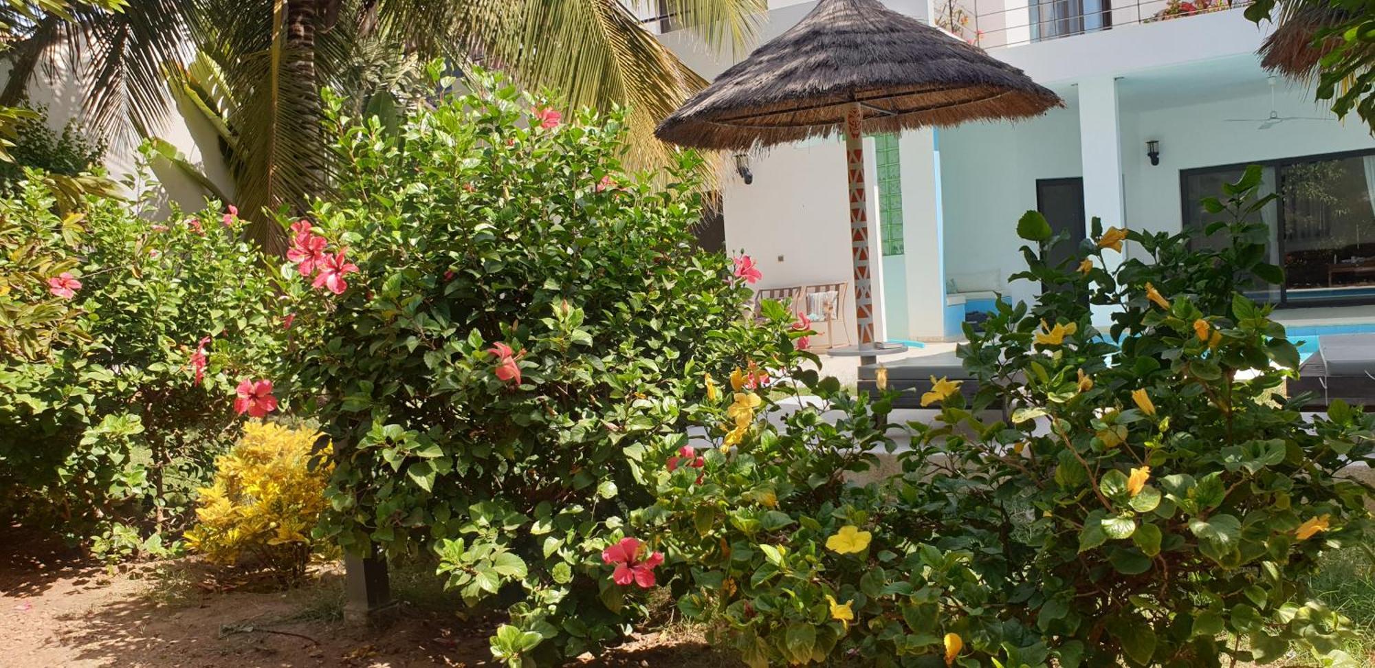 La Maison Blanche à Ngaparou, splendide villa contemporaine Exterior foto